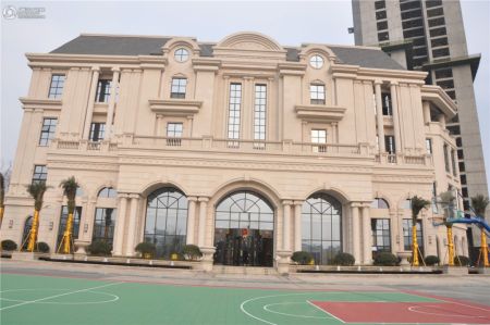 戛纳湾金棕榈