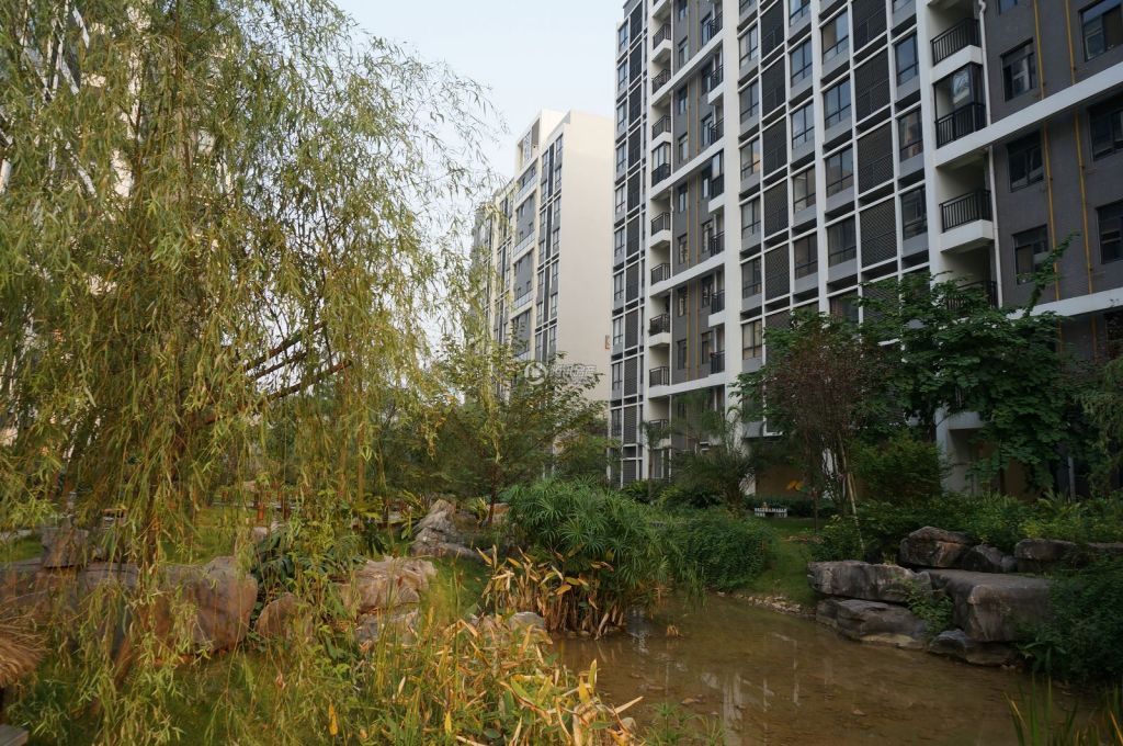 公务员体检标准_桂林公务员收入(2)