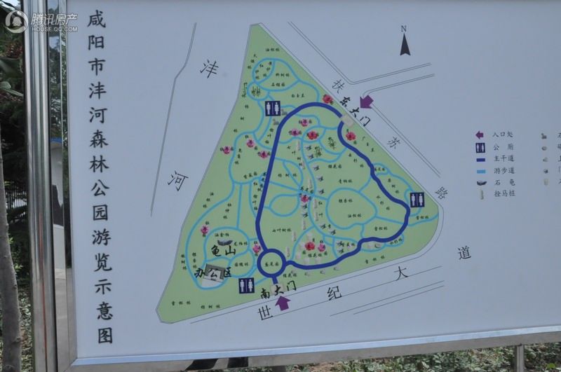 咸阳市沣河森林公园