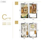 重庆黄金嘉年华1室1厅2卫29平方米户型图