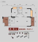 金碧丽江东海岸花园2室2厅1卫79平方米户型图