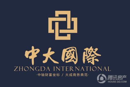 中大国际logo