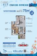 鼎龙湾国际海洋度假区2室2厅1卫75平方米户型图