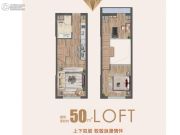 中海滨江U-LIVE2室1厅1卫50平方米户型图