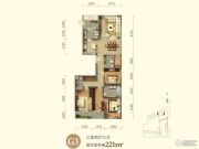 泰和龙庭3室2厅3卫221平方米户型图