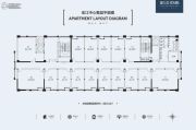 南阳宏江中央广场40--83平方米户型图