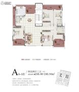 中信国安城4室5厅3卫246平方米户型图