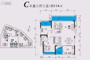 开平・天玺湾3室2厅2卫114平方米户型图