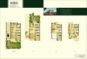 合生杭州湾国际新城4室0厅5卫0平方米户型图